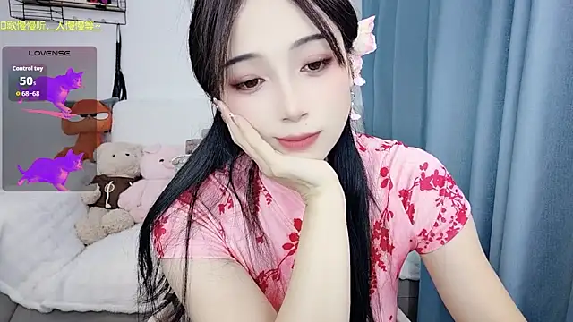 Augenstern_cat webcam