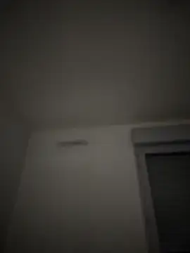 frenchsodomielover86