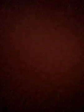 JoshingExegesis webcam