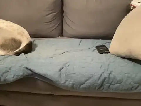 4small4inchlol webcam