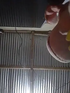 mar_coral2 - Mar_coral2's free webcam - UK Sex Cams