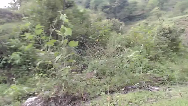 esmeralda_li's Live XXX Chat