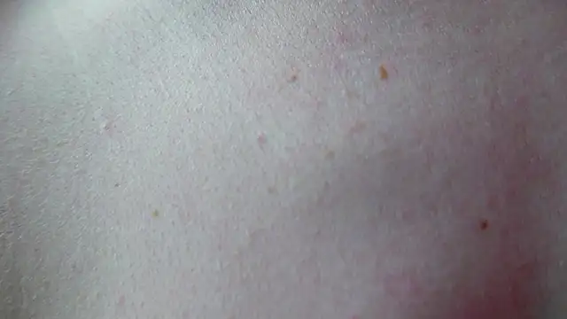 feelmetouchme webcam