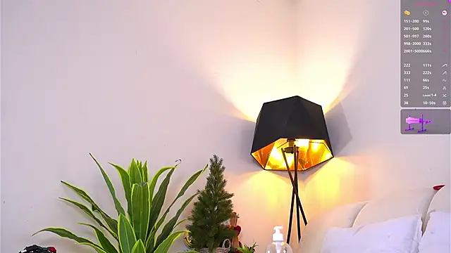 VallieBrandwein webcam