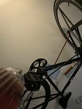 pillepallex84x live sex cam