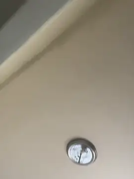 dolla-billlz (M young) - 300