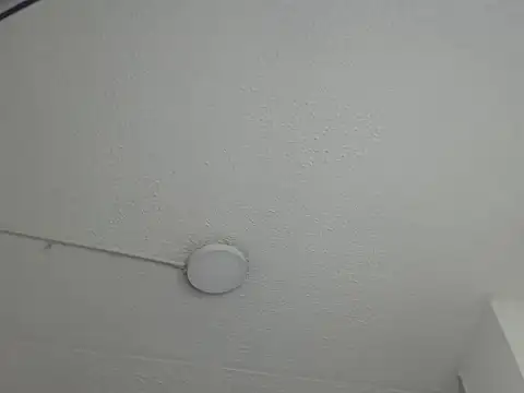 Ailanys_Miller's Webcam Show