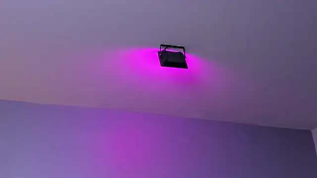 Amy_whittee's Live XXX Chat