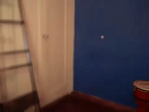 fabrissi (M mature) - 100