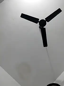 me-leela - Me-leela's free webcam - UK Sex Cams