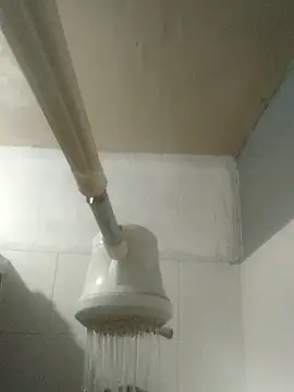 TU_PITUDO_FAV_BB_19CM