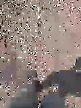 desi_boy_fuck (M young) - Masturbation 🥵💋