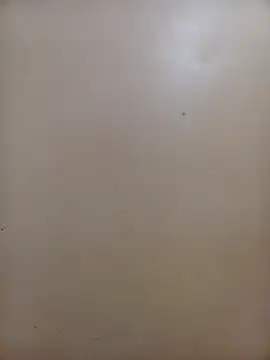 patriciaven - PatriciaVen's free webcam - UK Sex Cams