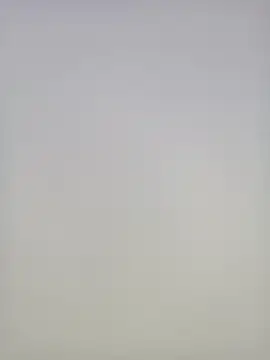 pallu_asha (F milf) - Topless