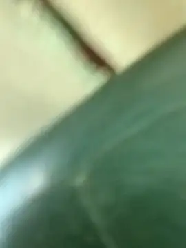 xxxcerezita14_n (Ask my age) - Zoom penetration