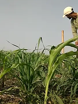 ThethunderPo live sex cam