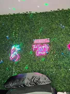 Preview of renathickass