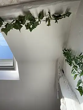 piratee666 (M young) - J’enleve le pull plaid 👀