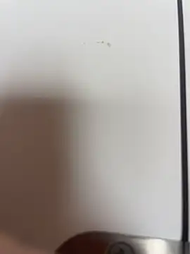 stallone_italiano_62