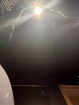 Risky_Workouts — live cam model