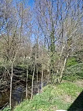 Webcam Model (SEXY-ZOE)  is live.Free join now!