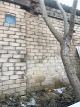 sweetcutegirls1023 (G young) - Blonde sucks big tits