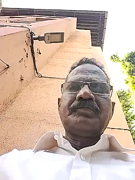 maddymissile (M mature) - 20