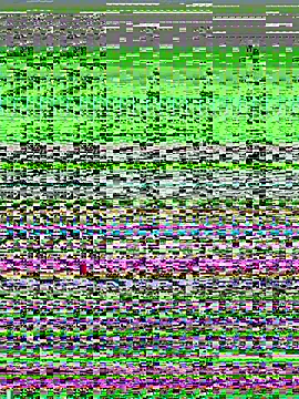 iamscarlettlove (F milf) - 💦START TEASING ME SLOWLY💦