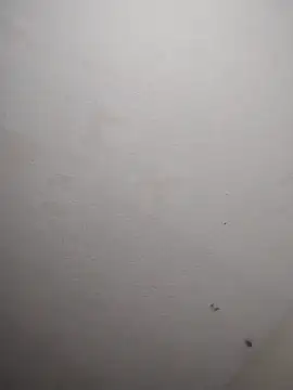 Preview of 247srokin