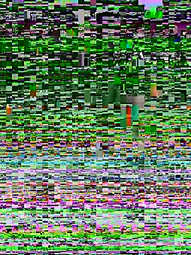 美女ruiki666在线直播