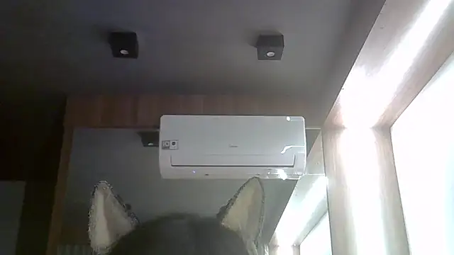 skinnykitten (T young) - lick😋lambidinha