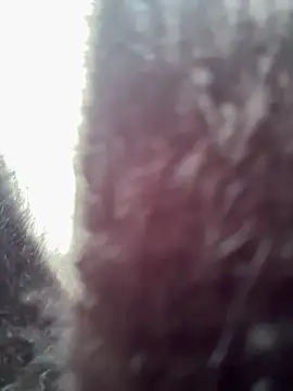 The_first_psychic_on_SC