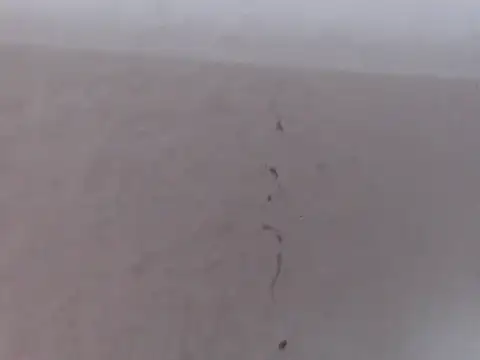 alexam_gal@xh (Ask my age) - EYACULATION!