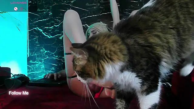 crislingery_dolli live sex cam