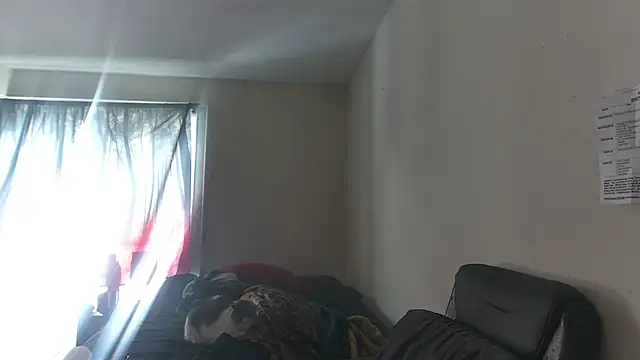 rickstone51 - RickStone51's free webcam - UK Sex Cams