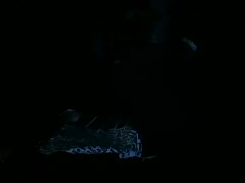 slutviki (T mature) - gender surgery