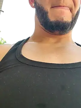 Preview of pighighdirty_p0