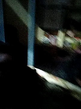 anji8639 (M young) - 2000