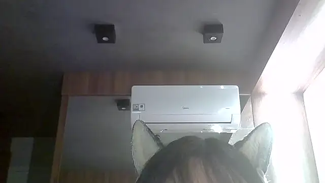 skinnykitten - SkinnyKitten's free webcam - UK Sex Cams