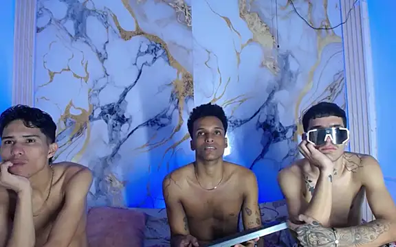 Damian_and_theo webcam