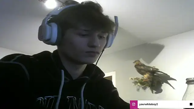 yourwhiteboy1 Live Webcam on Stripchat