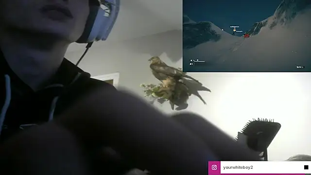 yourwhiteboy1 Live Webcam on Stripchat