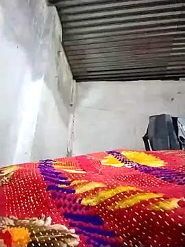 collboy8166 live sex cam