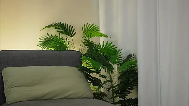 akumadadrive - Akumadadrive's free webcam