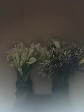 slnatasha - SLNatasha's free webcam - UK Sex Cams