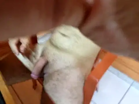 fabioape - Fabioape's free webcam - UK Sex Cams