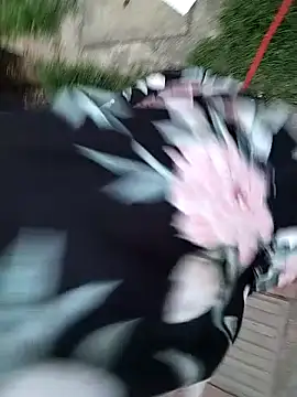 Brenda_Berck_ webcam