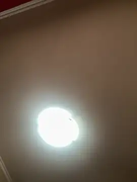 busyingetching (F young) - ♥️🔥🔥