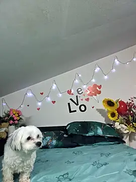 Preview of sweetmaddy888