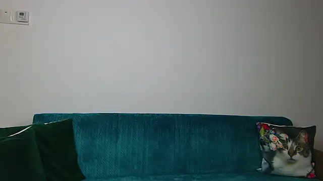 Preview of saradaisy